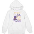 You Can't Scare Me I'm A Teacher Unisex Hoodie, trending gift