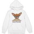 Chihuahua 100 Days Of School Rainbow Glasses Teacher Unisex Hoodie, trending gift Chihuahua 100 Days Of School Rainbow Glasses Teacher Unisex Hoodie, trending gift