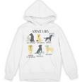 Science Labs Dogs Labrador Retriever Science Teacher Unisex Hoodie, Science Teacher Gifts, trending gift