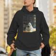 Ghost Library Halloween Book Reading Books Lover Teacher Unisex Hoodie, funny gift