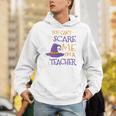 You Can't Scare Me I'm A Teacher Unisex Hoodie, funny gift
