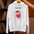 Digestive System Anatomy Anatomical Biology Teacher Men Women Unisex Hoodie, gift for family, gift for coworker Digestive System Anatomy Anatomical Biology Teacher Men Women Unisex Hoodie, gift for family, gift for coworker