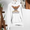 Chihuahua 100 Days Of School Rainbow Glasses Teacher Women's Hoodie, funny gift Chihuahua 100 Days Of School Rainbow Glasses Teacher Women's Hoodie, funny gift