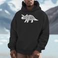 Teachersaurus Like A Normal Teacher Awesome Dinosaur Teacher Men Women Girls Kids Men Hoodie, funny design