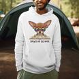 Chihuahua 100 Days Of School Rainbow Glasses Teacher Men Hoodie, novelty gifts, funny gifts