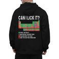 Can I Lick It Periodic Table Science Teacher Boy And Girls Men's Hoodie Back Print, Science Teacher Gifts, trending gift Can I Lick It Periodic Table Science Teacher Boy And Girls Men's Hoodie Back Print, Science Teacher Gifts, trending gift