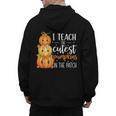 I Teach The Cutest Pumpkins In The Patch Fall Autumn Teacher Men's Hoodie Back Print, trending gift