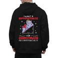 I Want A Hippopotenuse For Christmath Math Teacher Christmas Men's Hoodie Back Print, trending gift