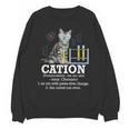 Cation Chemistry Humor Science Teacher Cat Pun Unisex Sweatshirt, Science Teacher Gifts, trending gift Cation Chemistry Humor Science Teacher Cat Pun Unisex Sweatshirt, Science Teacher Gifts, trending gift