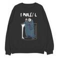 Chemistry Chemist Student Science Teacher Mole Unisex Sweatshirt, Science Teacher Gifts, trending gift
