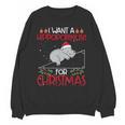 Christmas Math Teacher Hypotenuse Math Hippotenuse Men Women Unisex Sweatshirt, trending gift