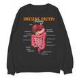 Digestive System Anatomy Anatomical Biology Teacher Unisex Sweatshirt, trending gift Digestive System Anatomy Anatomical Biology Teacher Unisex Sweatshirt, trending gift