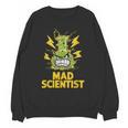 Mad Scientist Kids Youth Adult Science Teacher Chemistry Unisex Sweatshirt, Science Teacher Gifts, trending gift