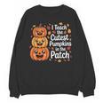 i Teach The Cutest Pumpkins In The Patch Teacher Halloween Unisex Sweatshirt, trending gift i Teach The Cutest Pumpkins In The Patch Teacher Halloween Unisex Sweatshirt, trending gift
