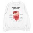 Digestive System Anatomy Anatomical Biology Teacher Men Women Unisex Sweatshirt, trending gift Digestive System Anatomy Anatomical Biology Teacher Men Women Unisex Sweatshirt, trending gift