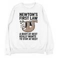 Newtons First Law Physics Jokes Science Teacher Unisex Sweatshirt, Science Teacher Gifts, trending gift Newtons First Law Physics Jokes Science Teacher Unisex Sweatshirt, Science Teacher Gifts, trending gift