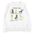 Science Labs Dogs Labrador Retriever Science Teacher Unisex Sweatshirt, Science Teacher Gifts, trending gift Science Labs Dogs Labrador Retriever Science Teacher Unisex Sweatshirt, Science Teacher Gifts, trending gift