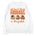I Teach The Cutest Pumpkins Halloween Teacher Cat Lover Unisex Sweatshirt, trending gift I Teach The Cutest Pumpkins Halloween Teacher Cat Lover Unisex Sweatshirt, trending gift