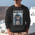 Mole Chemistry Chemist Student Science Teacher Unisex Sweatshirt, Science Teacher Sweatshirts, funny gift