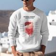 Digestive System Anatomy Anatomical Biology Teacher Men Women Unisex Sweatshirt, funny gift Digestive System Anatomy Anatomical Biology Teacher Men Women Unisex Sweatshirt, funny gift