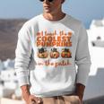 I Teach The Cutest Pumpkins Halloween Teacher Cat Lover Unisex Sweatshirt, funny gift I Teach The Cutest Pumpkins Halloween Teacher Cat Lover Unisex Sweatshirt, funny gift