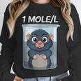 Mole Chemistry Chemist Student Science Teacher Unisex Sweatshirt, novelty gifts, funny gifts