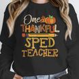 One Thankful Sped Teacher Cute Thanksgiving Women Unisex Sweatshirt, novelty gifts, funny gifts One Thankful Sped Teacher Cute Thanksgiving Women Unisex Sweatshirt, novelty gifts, funny gifts