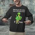 Pi Day Puns Pithon Math Teacher Jokes Women Men Kids Unisex Sweatshirt, gift for family, gift for coworker Pi Day Puns Pithon Math Teacher Jokes Women Men Kids Unisex Sweatshirt, gift for family, gift for coworker