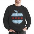 Chicago Flag Teacher School Cute Men Graphic Sweatshirt, funny gift