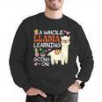 Llama Learning T Shirt Teachers Students Alpaca Lovers Men Graphic Sweatshirt, funny gift Llama Learning T Shirt Teachers Students Alpaca Lovers Men Graphic Sweatshirt, funny gift
