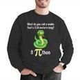 Pi Day Puns Pithon Math Teacher Jokes Women Men Kids Men Graphic Sweatshirt, funny gift