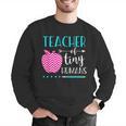 Teacher Of Tiny Humans Preschool Pre K Kindergarten Teacher Men Graphic Sweatshirt, funny gift Teacher Of Tiny Humans Preschool Pre K Kindergarten Teacher Men Graphic Sweatshirt, funny gift