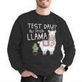 Teachers Testing Day Test Day No Prob Llama Teacher Men Graphic Sweatshirt, funny gift Teachers Testing Day Test Day No Prob Llama Teacher Men Graphic Sweatshirt, funny gift