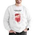 Digestive System Anatomy Anatomical Biology Teacher Men Women Men Graphic Sweatshirt, funny gift Digestive System Anatomy Anatomical Biology Teacher Men Women Men Graphic Sweatshirt, funny gift