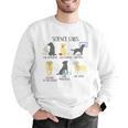 Science Labs Dogs Labrador Retriever Science Teacher Men Graphic Sweatshirt, Science Teacher Sweatshirts, funny gift Science Labs Dogs Labrador Retriever Science Teacher Men Graphic Sweatshirt, Science Teacher Sweatshirts, funny gift