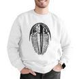 Trilobite Fossil Geology Teacher Student Geologist Men Graphic Sweatshirt, funny gift Trilobite Fossil Geology Teacher Student Geologist Men Graphic Sweatshirt, funny gift