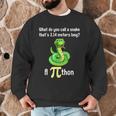 Pi Day Puns Pithon Math Teacher Jokes Women Men Kids Men Graphic Sweatshirt, novelty gifts, funny gifts