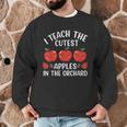 I Teach The Cutest Apples In The Orchard Cute Fall Teacher Men Graphic Sweatshirt, novelty gifts, funny gifts I Teach The Cutest Apples In The Orchard Cute Fall Teacher Men Graphic Sweatshirt, novelty gifts, funny gifts