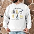 Science Labs Dogs Labrador Retriever Science Teacher Men Graphic Sweatshirt, novelty gifts, funny gifts Science Labs Dogs Labrador Retriever Science Teacher Men Graphic Sweatshirt, novelty gifts, funny gifts