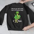 Pi Day Puns Pithon Math Teacher Jokes Women Men Kids Men Graphic Sweatshirt, funny design