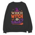 Which Witch Is Which Halloween For Women Men English Teacher Women Crewneck Sweatshirt, novelty gifts, funny gifts