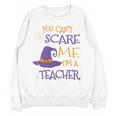 You Can't Scare Me I'm A Teacher Women Crewneck Sweatshirt, novelty gifts, funny gifts