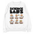 Labrador Retriever Science Labs Dog Lover Teacher Women Crewneck Sweatshirt, novelty gifts, funny gifts