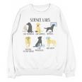 Science Labs Dogs Labrador Retriever Science Teacher Women Crewneck Sweatshirt, novelty gifts, funny gifts Science Labs Dogs Labrador Retriever Science Teacher Women Crewneck Sweatshirt, novelty gifts, funny gifts