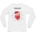 Digestive System Anatomy Anatomical Biology Teacher Men Women Unisex Long Sleeve T-Shirt, trending gift Digestive System Anatomy Anatomical Biology Teacher Men Women Unisex Long Sleeve T-Shirt, trending gift
