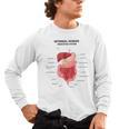 Digestive System Anatomy Anatomical Biology Teacher Men Women Men's Long Sleeve T-Shirt, trending gift