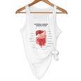 Digestive System Anatomy Anatomical Biology Teacher Men Women Flowy Tank, novelty gifts, funny gifts Digestive System Anatomy Anatomical Biology Teacher Men Women Flowy Tank, novelty gifts, funny gifts