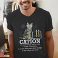 Cation Chemistry Humor Science Teacher Cat Pun Men's V-Neck T-Shirt, Science Teacher Shirts, funny gift
