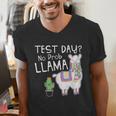 Teachers Testing Day Test Day No Prob Llama Teacher Men's V-Neck T-Shirt, funny gift Teachers Testing Day Test Day No Prob Llama Teacher Men's V-Neck T-Shirt, funny gift