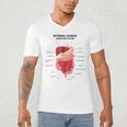 Digestive System Anatomy Anatomical Biology Teacher Men Women Men's V-Neck T-Shirt, novelty gifts, funny gifts